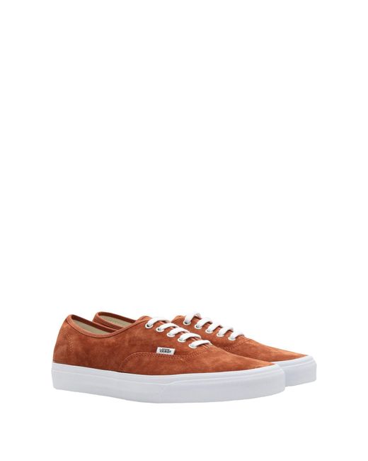 vans basse marroni