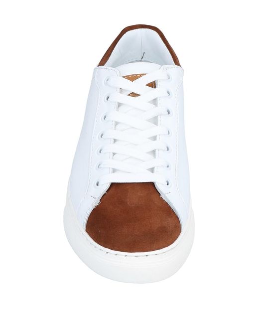 Roberto Botticelli White Trainers for men