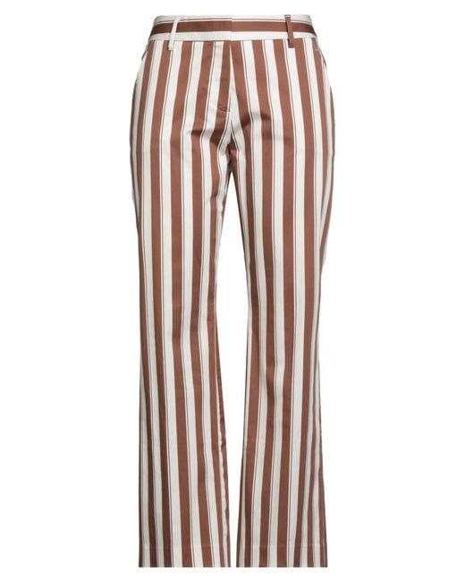 True Royal Brown Pants