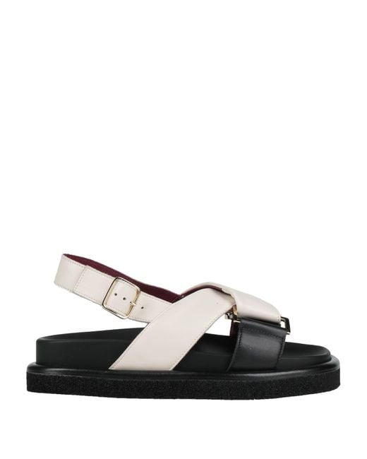 Seboy's Black Sandals
