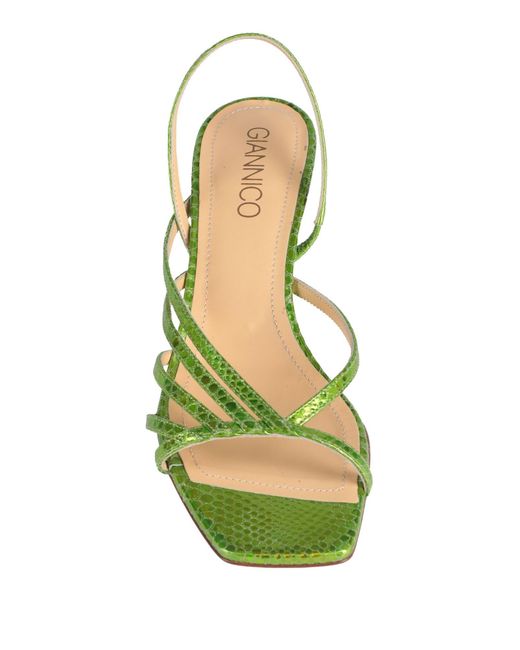 Giannico Green Sandals