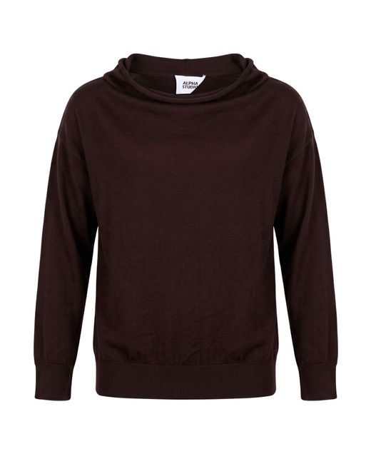 Alpha Studio Brown Dark Turtleneck Merino Wool