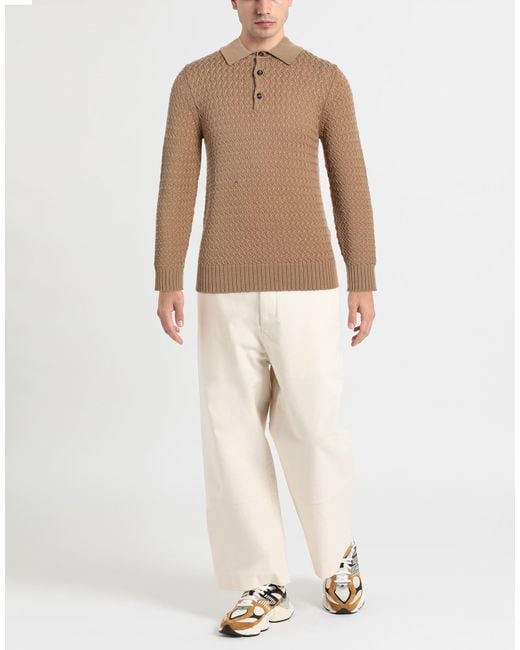 Circolo 1901 Brown Jumper for men