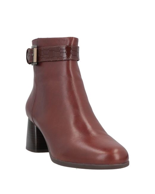 Geox Brown Ankle Boots