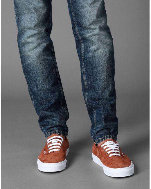 vans basse marroni