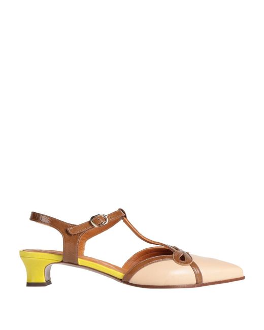 Chie Mihara Brown Pumps Leather