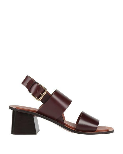 Mansur Gavriel Brown Sandals