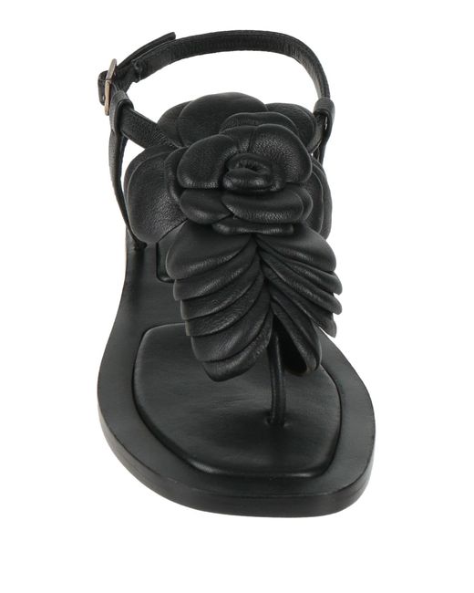 Baldinini Black Thong Sandal