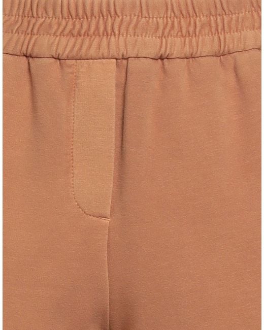 Circolo 1901 Brown Pants Cotton, Elastane