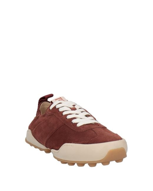 Tod's Brown Trainers