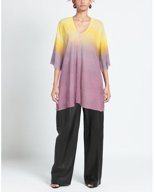 antonella rizza Purple Pullover