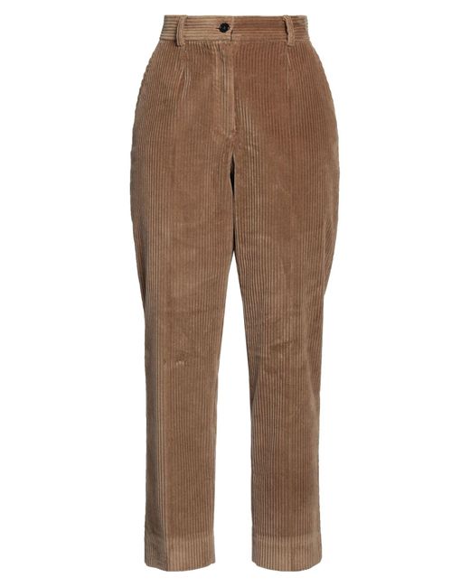 Dolce & Gabbana Brown Pants