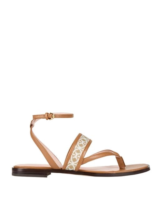 Coccinelle Multicolor Thong Sandals