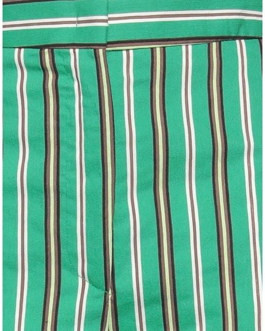Kaos Green Pants