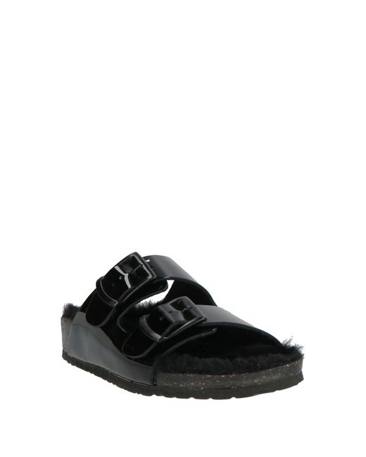 Dondup Black Sandals