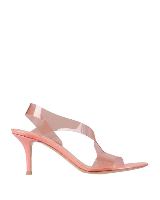 Sandales Gianvito Rossi en coloris Pink