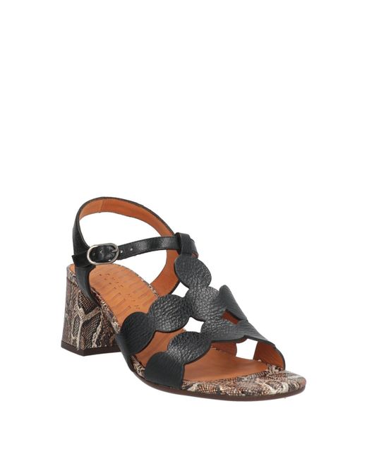 Chie Mihara Black Sandals