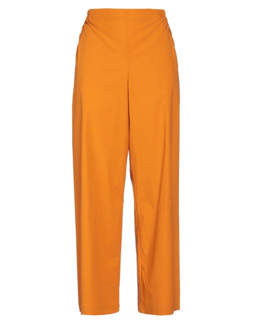 Niu Orange Pants