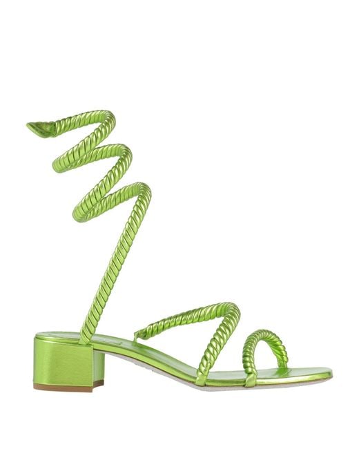 Rene Caovilla Green Sandals Lambskin