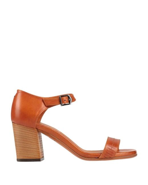 Pantanetti Brown Sandale