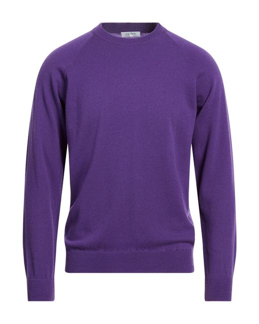 REYER Purple Sweaters for men
