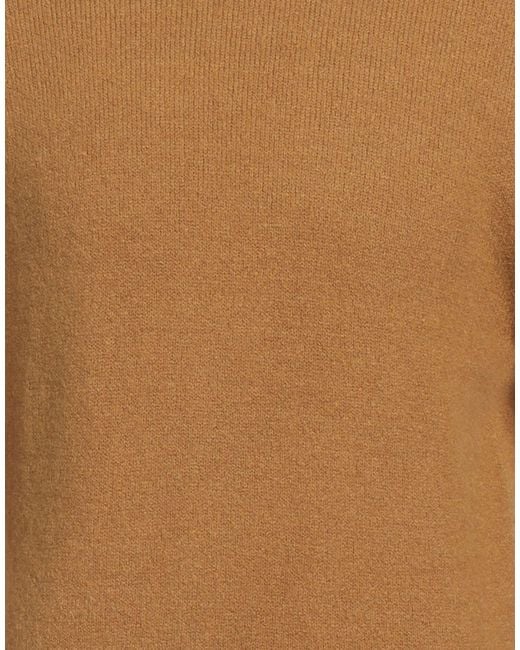 Alpha Studio Brown Turtleneck for men