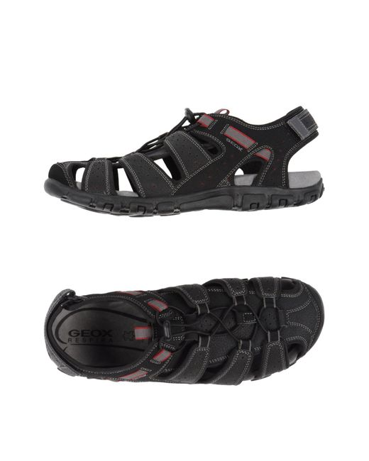 Geox Black Sandals for men