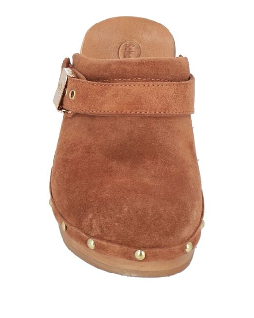 Scholl Brown Mules & Clogs