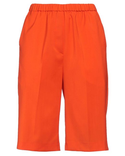 Grifoni Orange Shorts & Bermuda Shorts