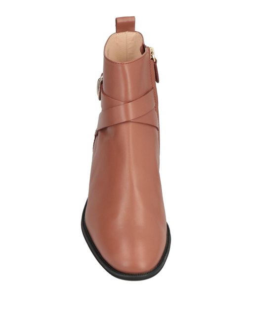 Tod's Brown Ankle Boots
