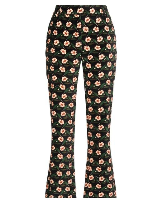 LaDoubleJ Black Hose