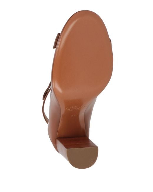 Chloé Brown Light Pumps Leather