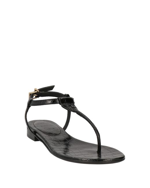 Zadig & Voltaire Brown Thong Sandal