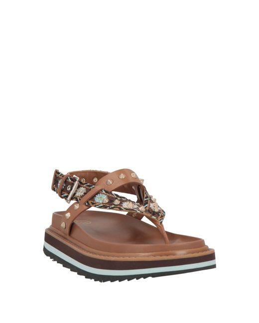 Ash Brown Thong Sandal