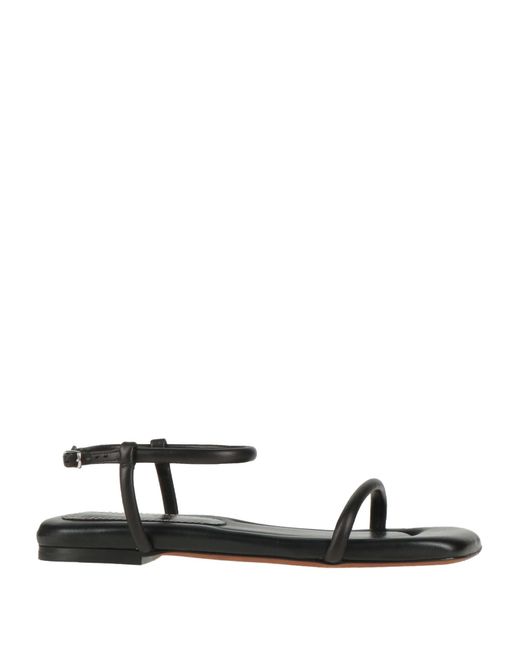 Sandales Proenza Schouler en coloris Black