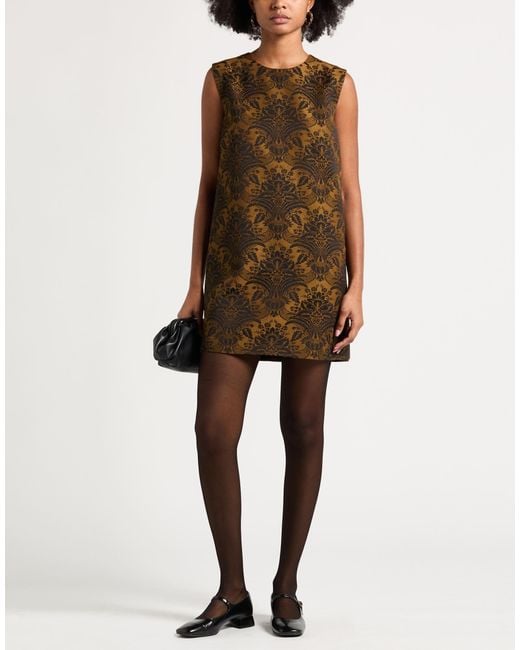 Max Mara Brown Mini Dress Virgin Wool, Polyamide