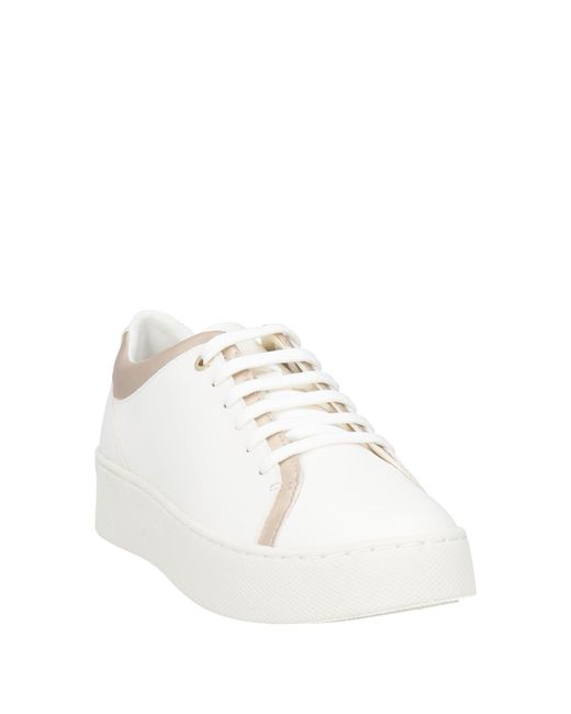 Geox Natural Trainers