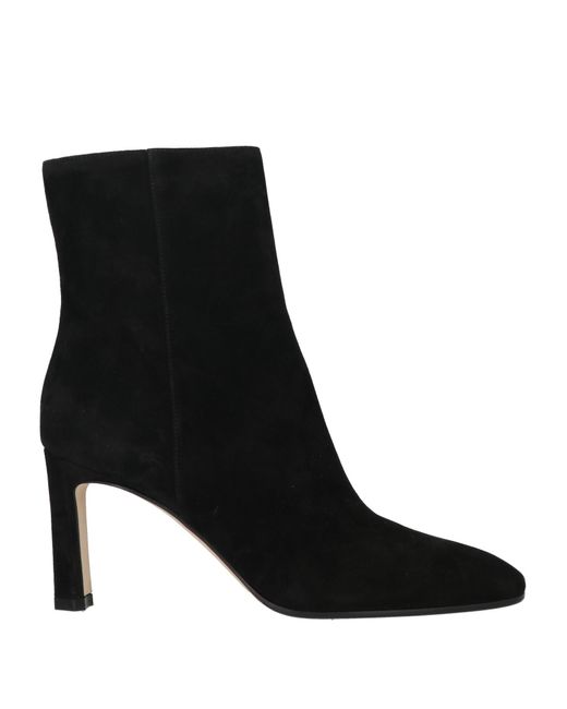 Sergio Rossi Black Ankle Boots