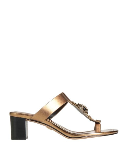 Infradito di Kurt Geiger in Multicolor