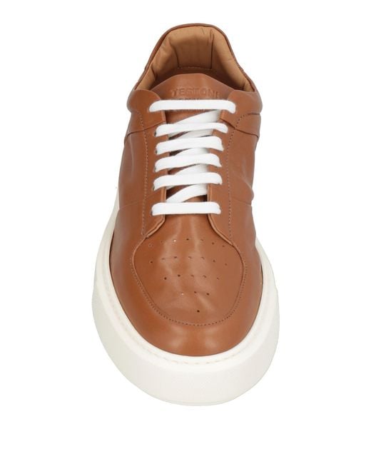 Testoni Brown Trainers for men