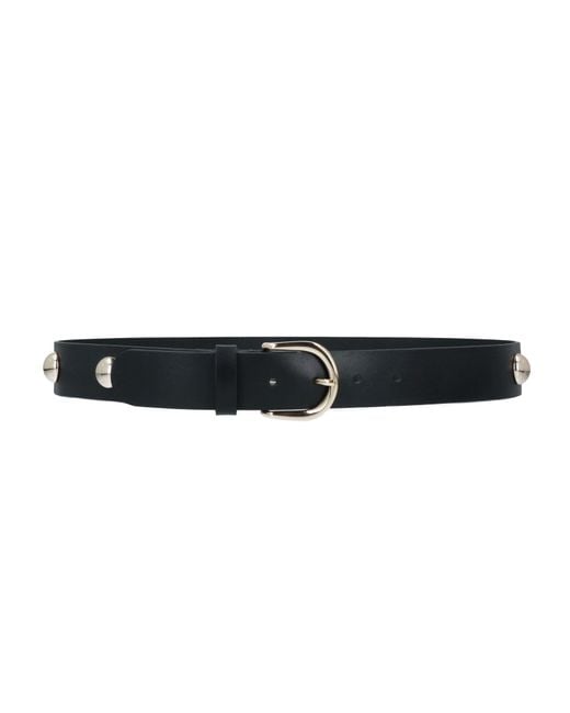 Sandro Black Belt