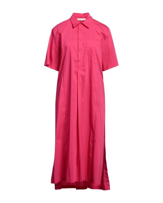 Liviana Conti Pink Midi Dress