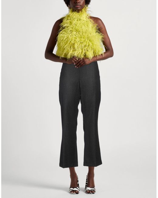 P.A.R.O.S.H. Gray Hose