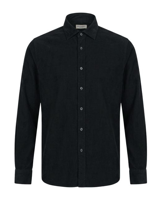 Ghirardelli Blue Shirt for men