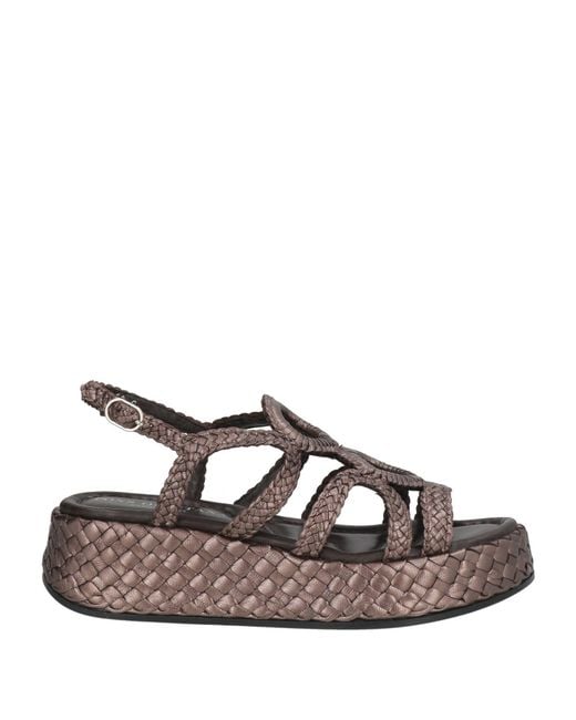 Pons Quintana Brown Sandals