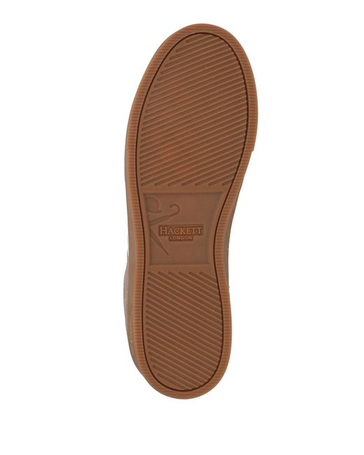 Hackett Brown Trainers for men