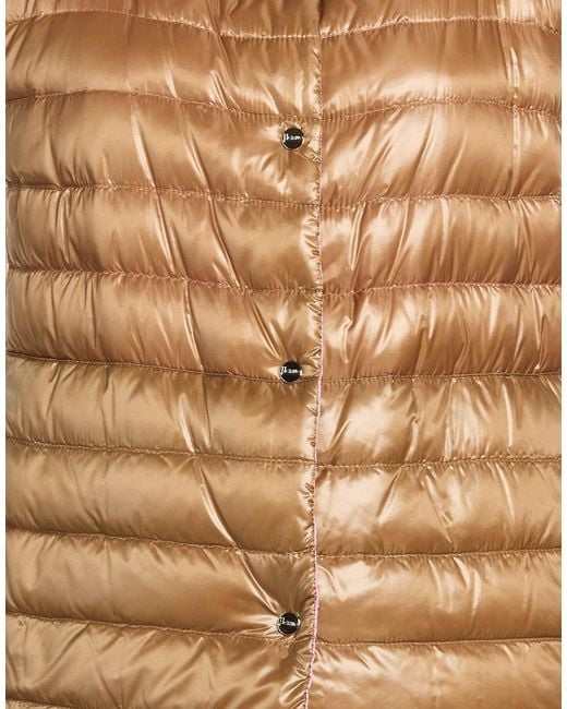 Herno Brown Gilet