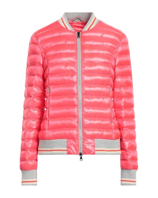 NO.1 Como Pink Puffer