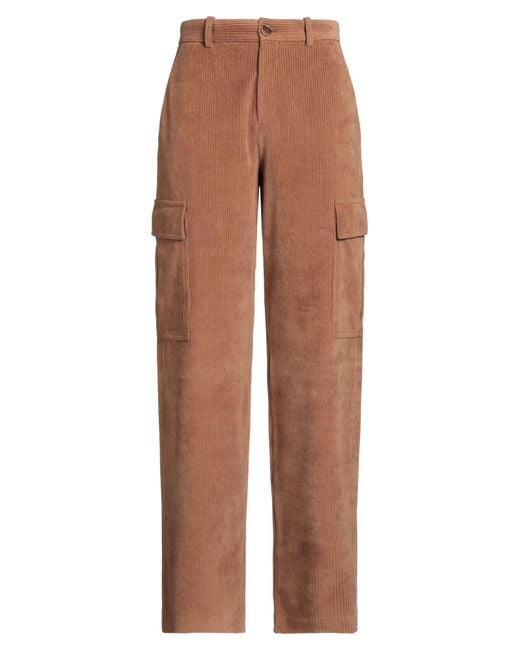 Circolo 1901 Brown Pants Cotton, Polyester