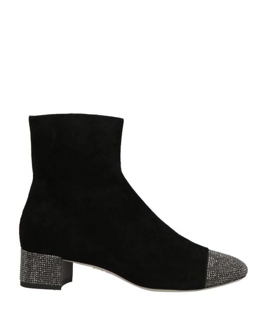 Botines De Caña Alta Rene Caovilla de color Black
